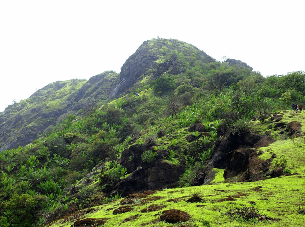 Peb Fort (Vikatgad)