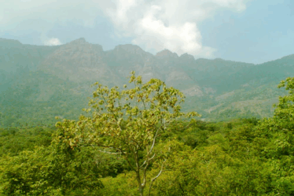 18 Best Pilgrimage Sites in Tamil Nadu: Top Temples & Holy Places