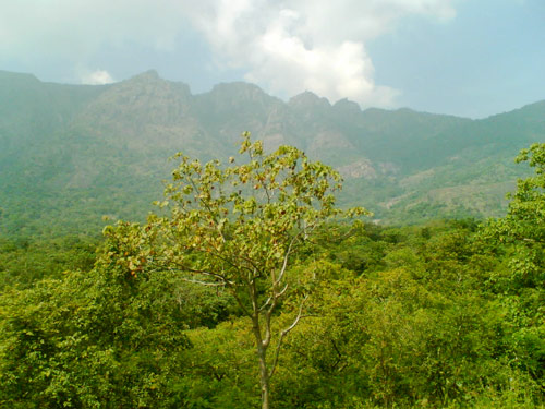 18 Best Pilgrimage Sites in Tamil Nadu: Top Temples & Holy Places