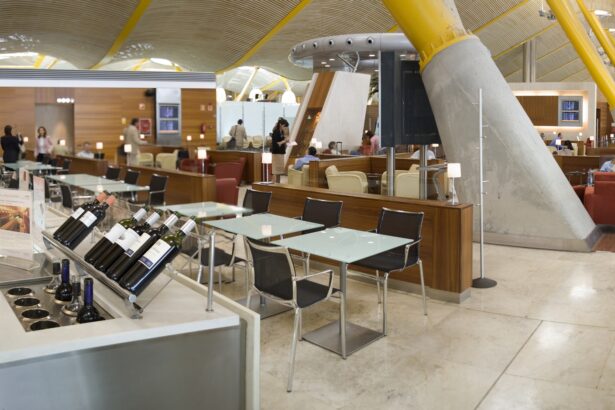10 Best Airport Lounge Access Programs for Stress-Free Travel