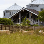 10 Best Bus Booking Platform Alternatives In Europe