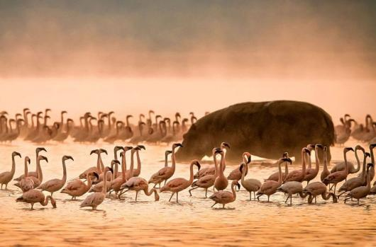 10 Best Maldives Alternatives for Affordable Beach Getaways 8 Zanzibar, Tanzania