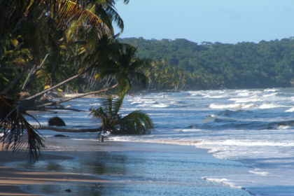 10 Best Visa-Free Countries for Indians to Explore