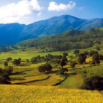 10 Best Road Trip Routes In India for Adventure & Fun