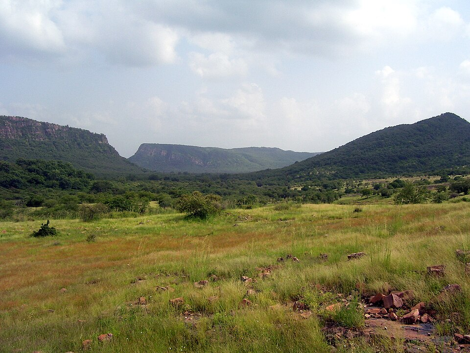 10 Best Travel Destinations in India for Culture, Food & Beauty 8 Ranthambore (Rajasthan