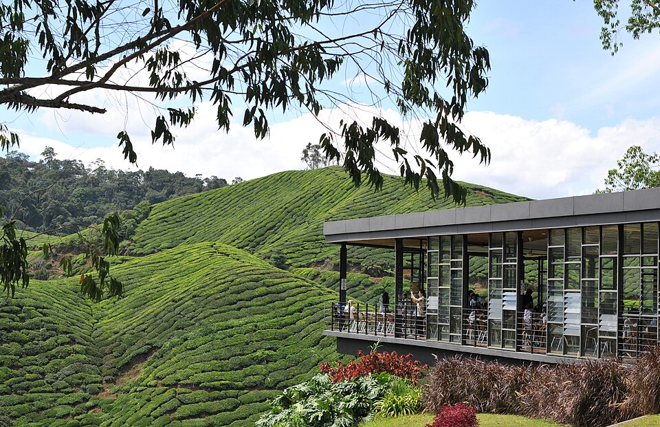 Cameron Highlands, Malaysia