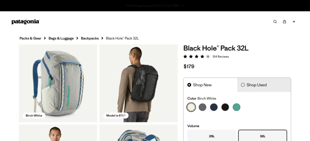 10 Best Travel Backpacks for Nomads, Hikers & Flyers 7 Patagonia Black Hole 32L