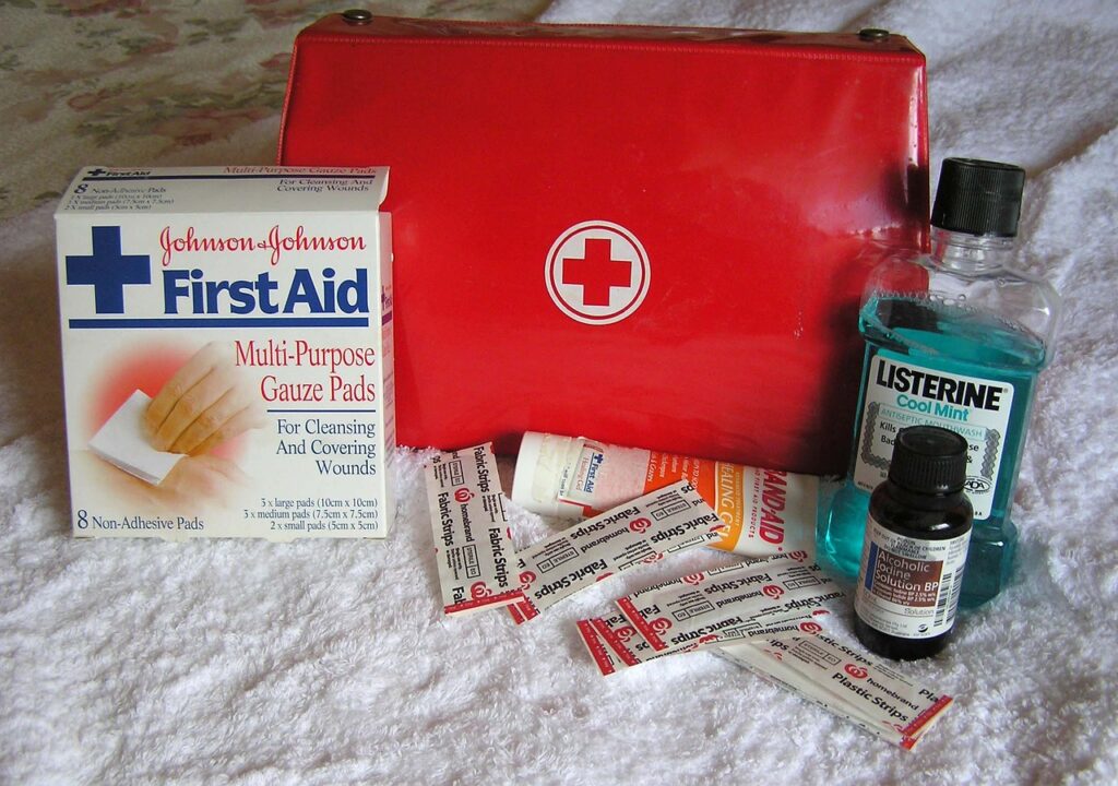 11 Top Travel Essentials Frequent Flyers Always Swear By 10 Small First Aid/Medication Kit