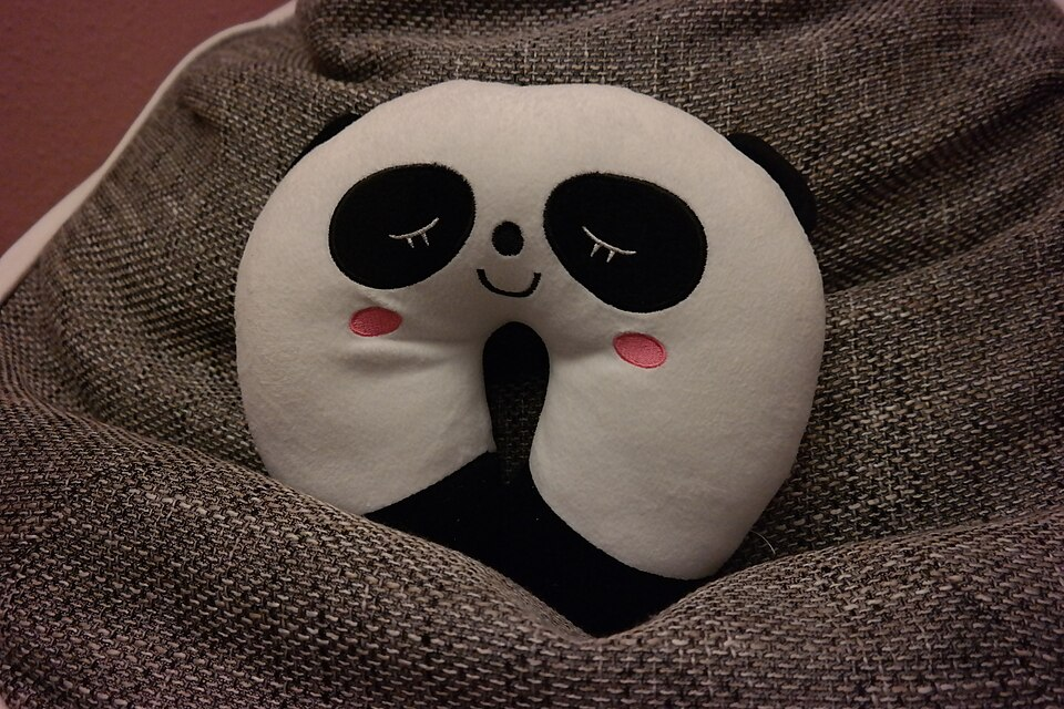 20 Must-Have Travel Gadgets For International Trips Guide 5 Travel Neck Pillow