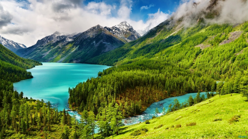 12 Travel Essentials Frequent Flyers Can’t Travel Without