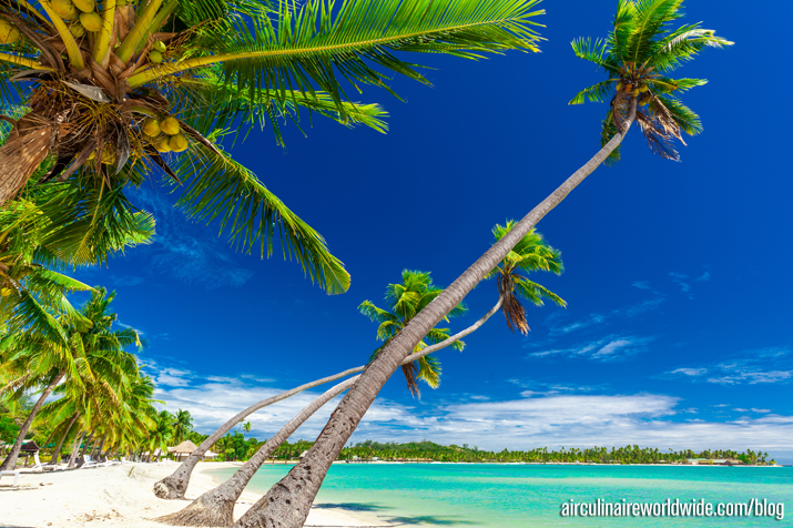 15 Best Visa-on-Arrival Countries Indians Must Visit Now 16 Fiji