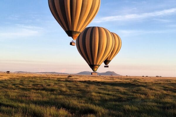 15 Best Visa-on-Arrival Countries Indians Must Visit Now 14 Tanzania