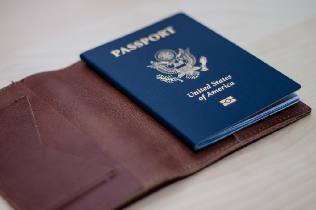 Travel Wallet