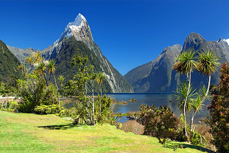 New Zealand