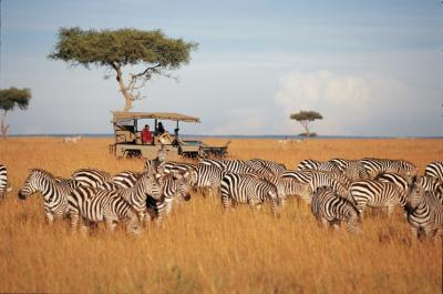 12 Unique Travel Experiences You Must Try Once in Life 3 Safari Camping in African Wilderness