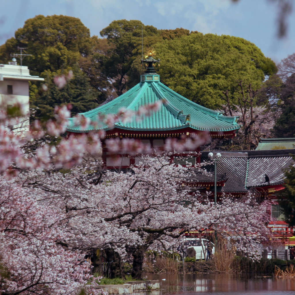 12 Unique Travel Experiences You Must Try Once in Life 8 Visiting Japan During Cherry Blossom Season