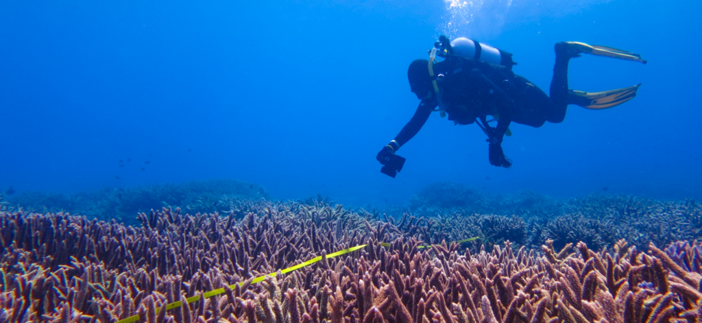 12 Unique Travel Experiences You Must Try Once in Life 12 Diving the Great Barrier Reef, Australia