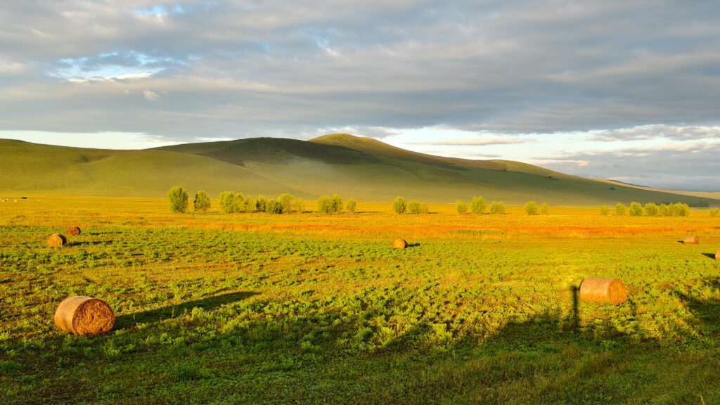12 Underrated Travel Destinations Before Crowds Arrive 3 Mongolia