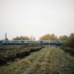 12 Unique Travel Experiences You Must Try Once in Life