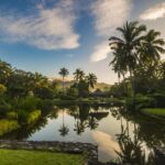 10 Best Medical Wellness Retreats for Longevity in 2026