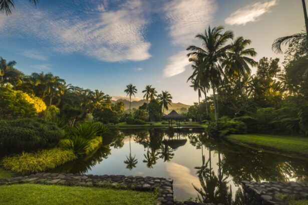 10 Best Medical Wellness Retreats for Longevity in 2026