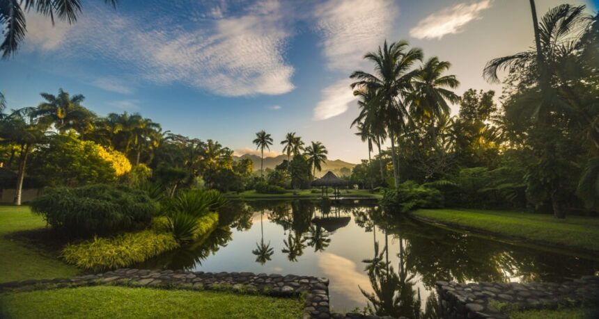 10 Best Medical Wellness Retreats for Longevity in 2026