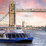 10 Best Luxury River Cruise Lines for Solo Mature Travelers