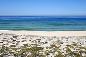 Triplolo: Best Travel Blog & Review Platform 80 image 148