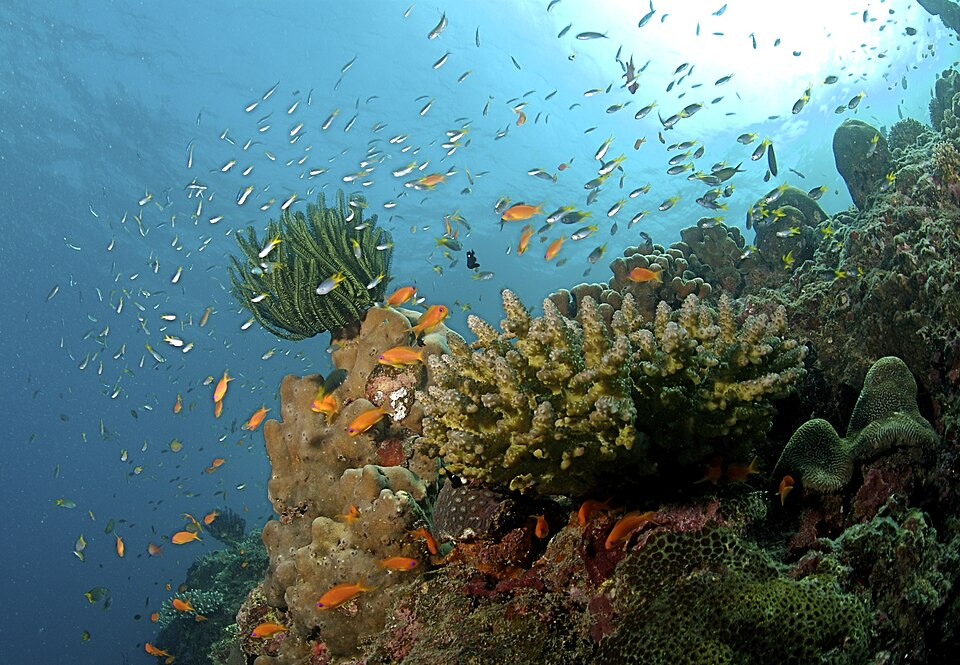 10 Best Secret Islands with Untouched Marine Life & Empty Beaches 10 Andaman and Nicobar Islands, India