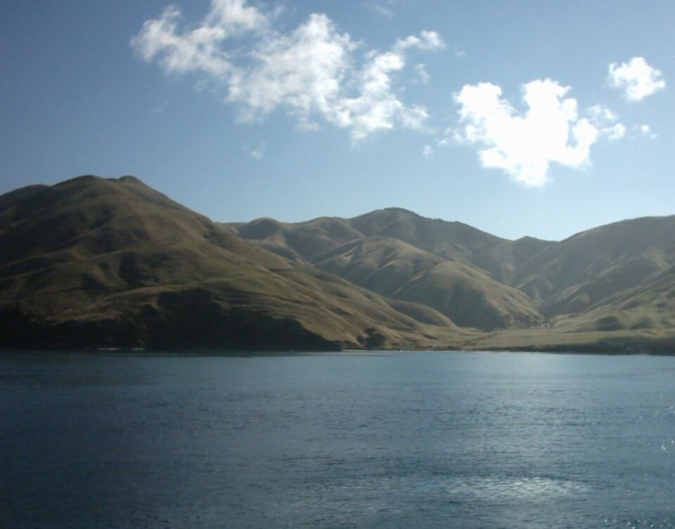 10 Affordable Hidden Wine Regions for Budget Wine Lovers 7 Marlborough, New Zealand