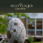 10 Top Hydrotherapy & Thermal Spring Resorts for Recovery