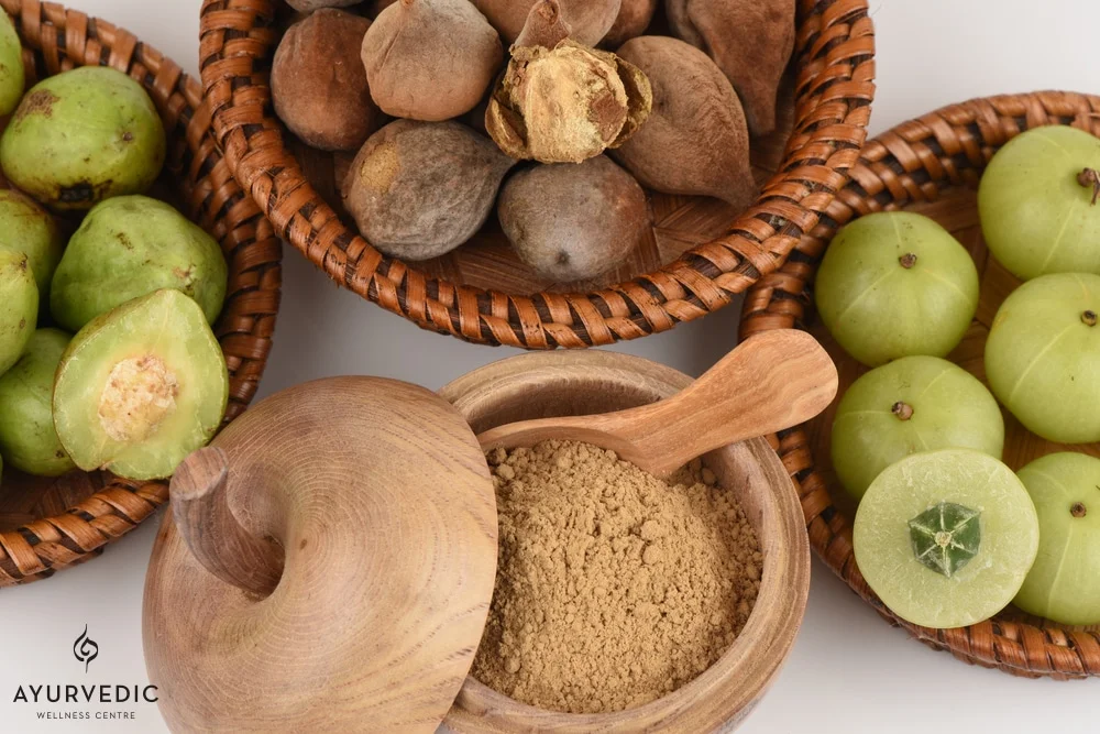 10 Best Holistic Fitness Retreats with Private Coaching 2026 5 Ayurveda Weight Loss Center