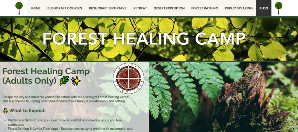 10 Best Holistic Fitness Retreats with Private Coaching 2026 4 Forest Healing Fitness Camp
