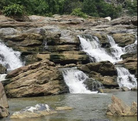 10 Best Wildlife Sanctuaries and National Parks in Bihar 6 Gautam Buddha Wildlife Sanctuary