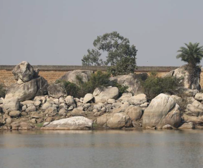 10 Best Wildlife Sanctuaries and National Parks in Bihar 8 Nagi Dam Wildlife Sanctuary