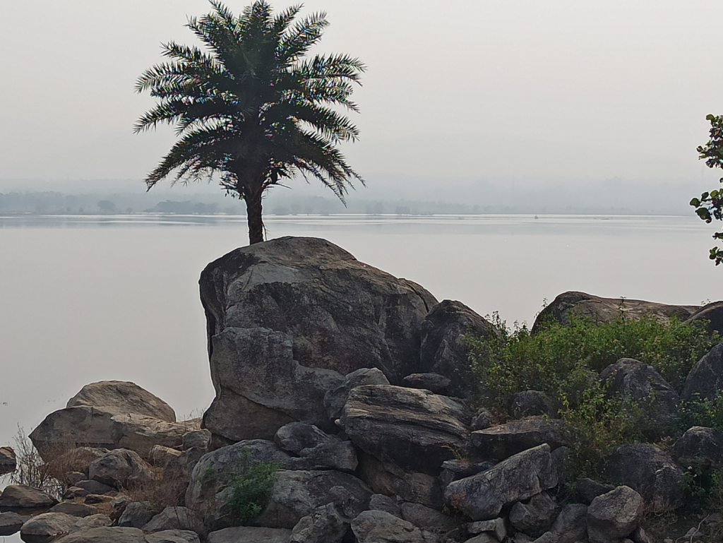 10 Best Wildlife Sanctuaries and National Parks in Bihar 9 Nakti Dam Wildlife Sanctuary