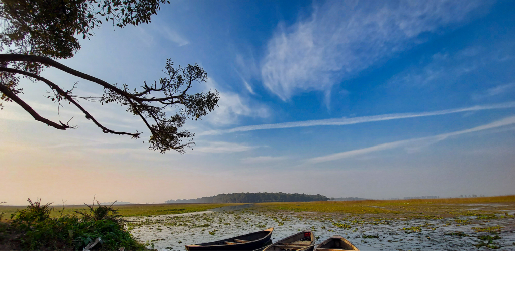10 Best Wildlife Sanctuaries and National Parks in Bihar 11 Kanwar Lake Bird Sanctuary