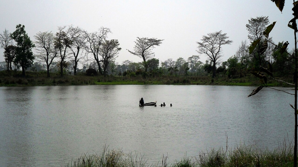 10 Best Hidden Places in Bihar You Must Explore in 2026 9 Valmiki National Park