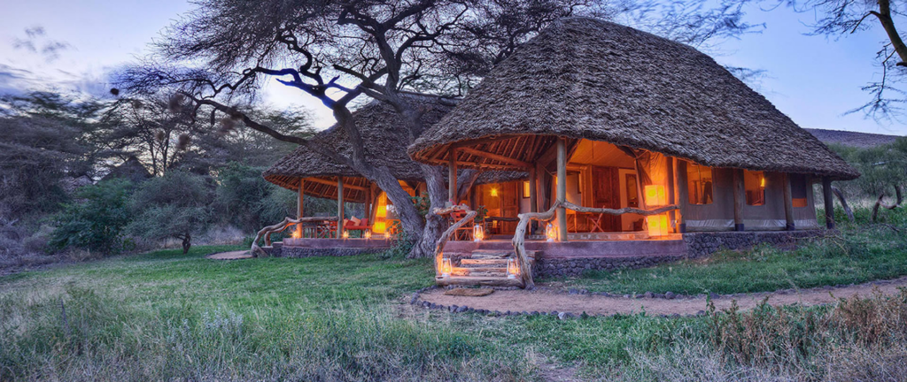 15 Bucket List Adventures Around the World You Must Try 5 4. African Safari Adventure