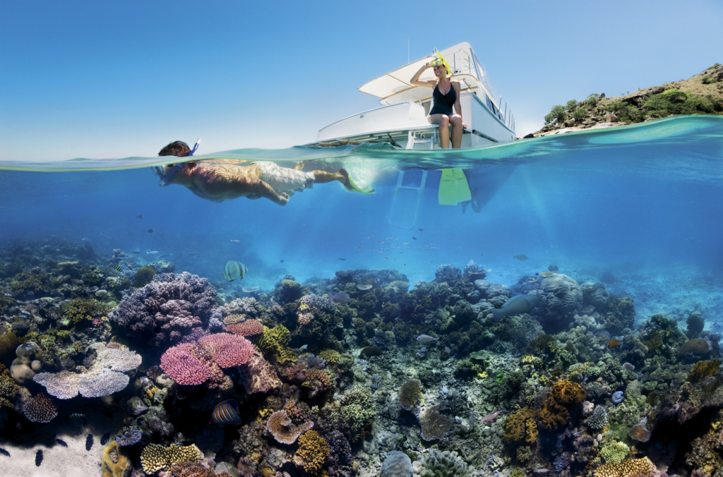 15 Bucket List Adventures Around the World You Must Try 8 Great Barrier Reef Diving