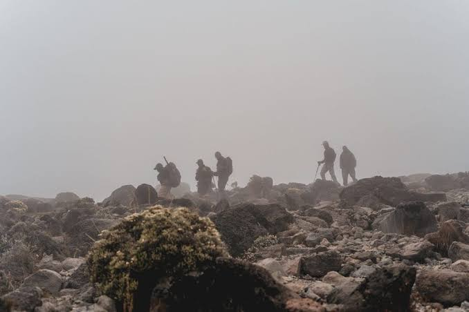 15 Bucket List Adventures Around the World You Must Try 12 Climb Mount Kilimanjaro