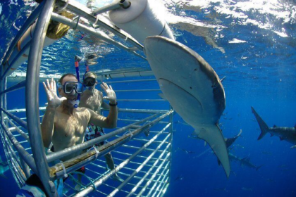15 Bucket List Adventures Around the World You Must Try