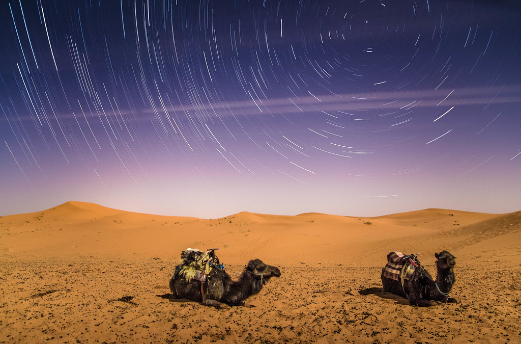 15 Bucket List Adventures Around the World You Must Try 16 Sahara Desert Camping