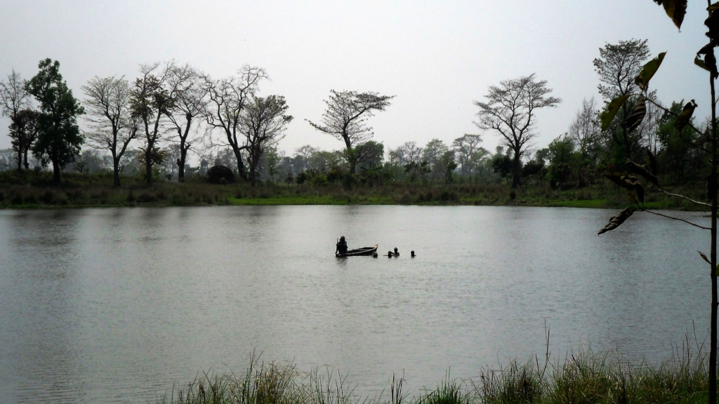 10 Best Tourist Places in Bihar You Must Visit for Amazing Trips 9 Valmiki National Park