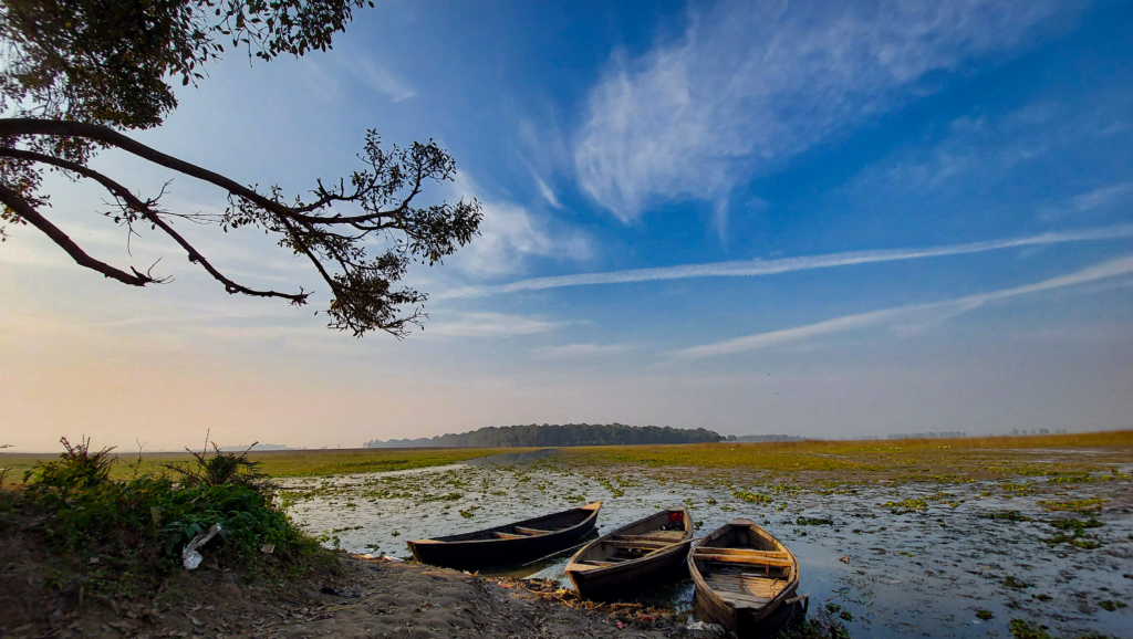 10 Best Picnic Spots in Bihar for Family & Weekend Trips 10 Kanwar Lake Bird Sanctuary