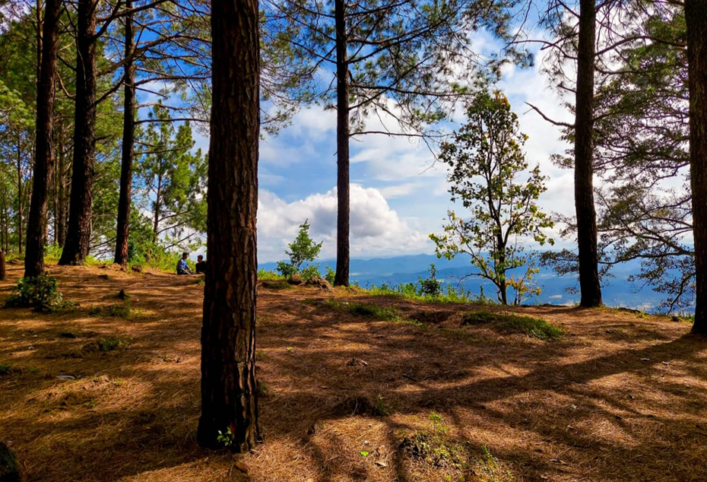 10 Best Weekend Getaways from Patna for a Perfect Short Trip 10 Netarhat
